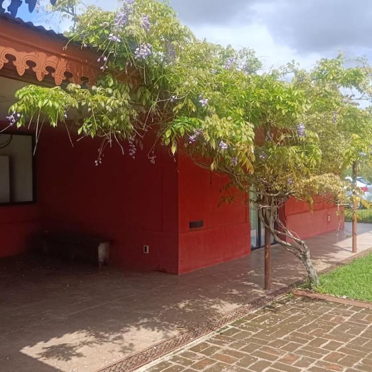 FincaMora - One-Bedroom House - 24