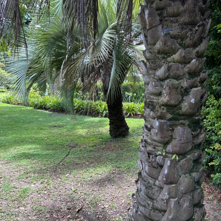 Hermoso Apartamento en Country Hosp Univ Austral - Apartamento Estudio - 22