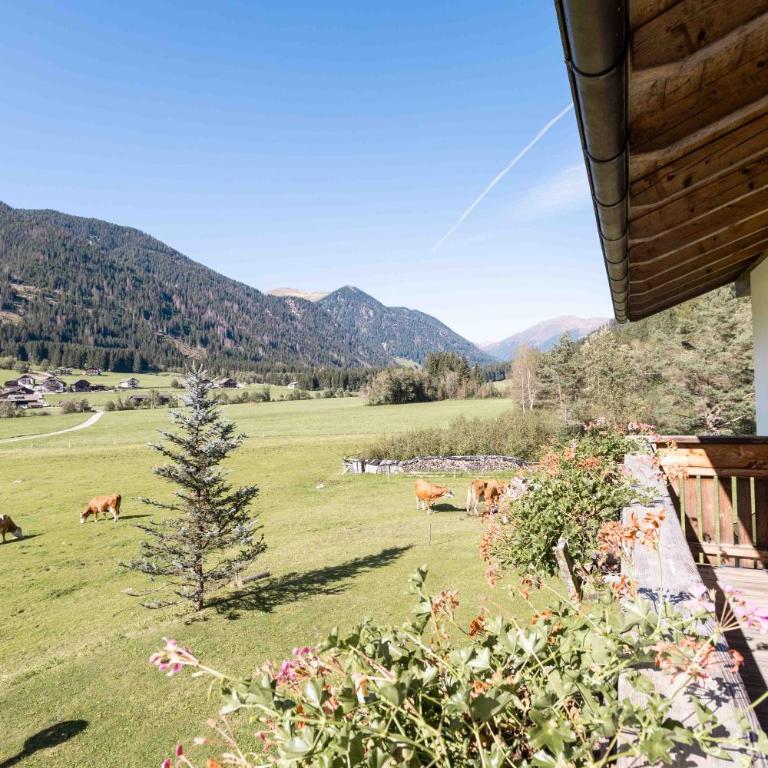 Innerkohlerhof - Ferienhaus - 11