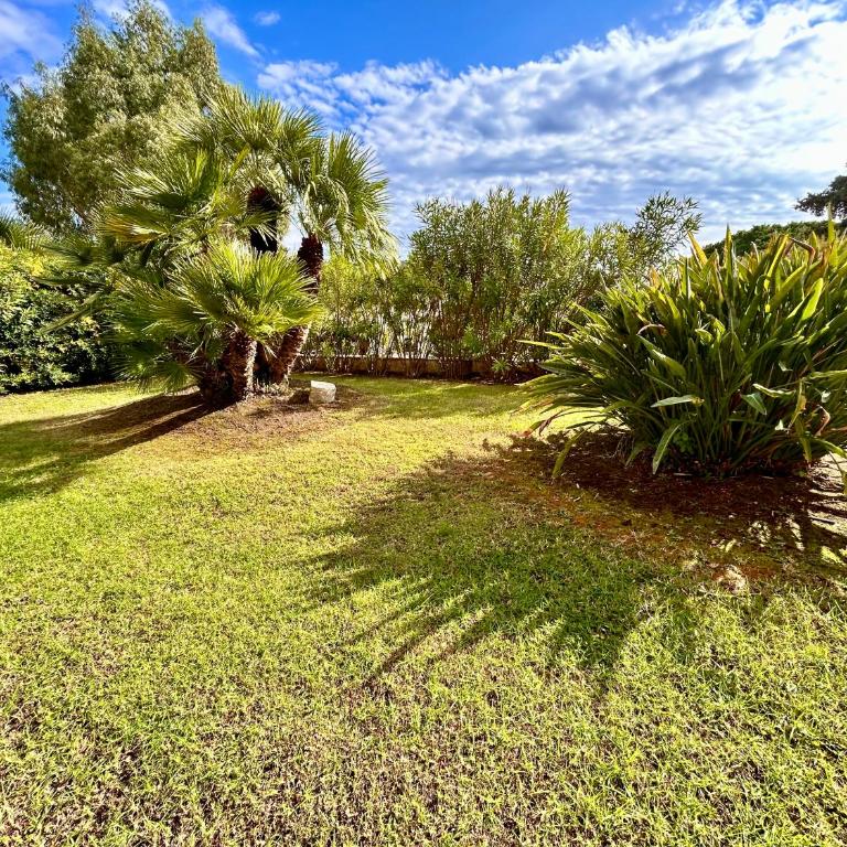 Hôtel La Pinède - Chambre Double Confort avec Terrasse - Vue sur Jardin - 8
