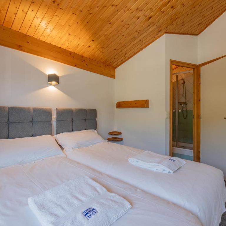 Inukshuk Apartment - Snow and Trek - Morzine - Apartment - Split Level - 2