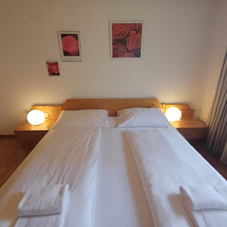Profelt`s Apartments Uttendorf - Steinbock Lodges - Appartement avec Terrasse - 4