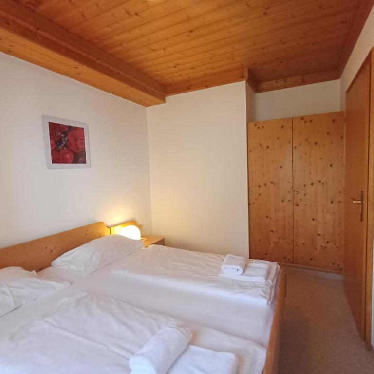 Profelt`s Apartments Uttendorf - Steinbock Lodges - Appartement - Rez-de-Chaussée - 7