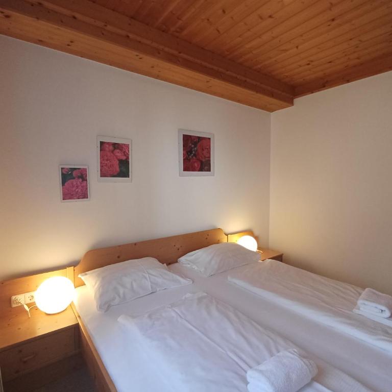 Profelt`s Apartments Uttendorf - Steinbock Lodges - Appartement - Rez-de-Chaussée - 8