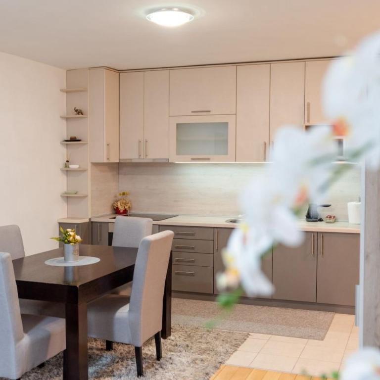 Apartman Nada de lux - One-Bedroom Apartment - 22