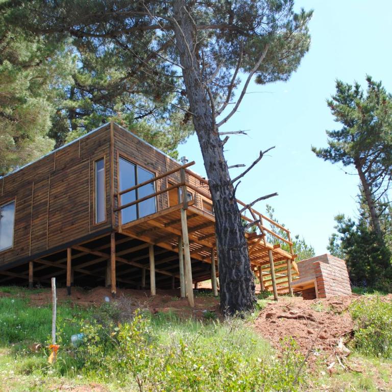 Cabañas & SPA Carilafquen - Estudio con terraza - 5