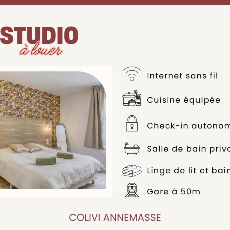 Colivi Suite Spacieuse 45m2 Gare Annemasse - Studio - 9