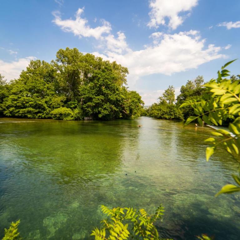 Stone house in Isle-sur-la-Sorgue - Vacation Home - 28