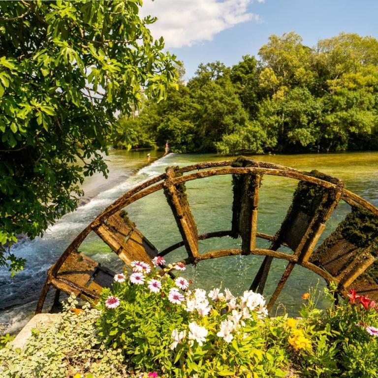 Stone house in Isle-sur-la-Sorgue - Vacation Home - 20
