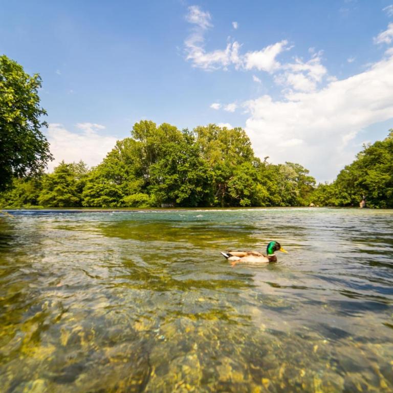 Stone house in Isle-sur-la-Sorgue - Vacation Home - 12