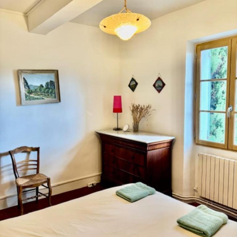 Stone house in Isle-sur-la-Sorgue - Vacation Home - 18