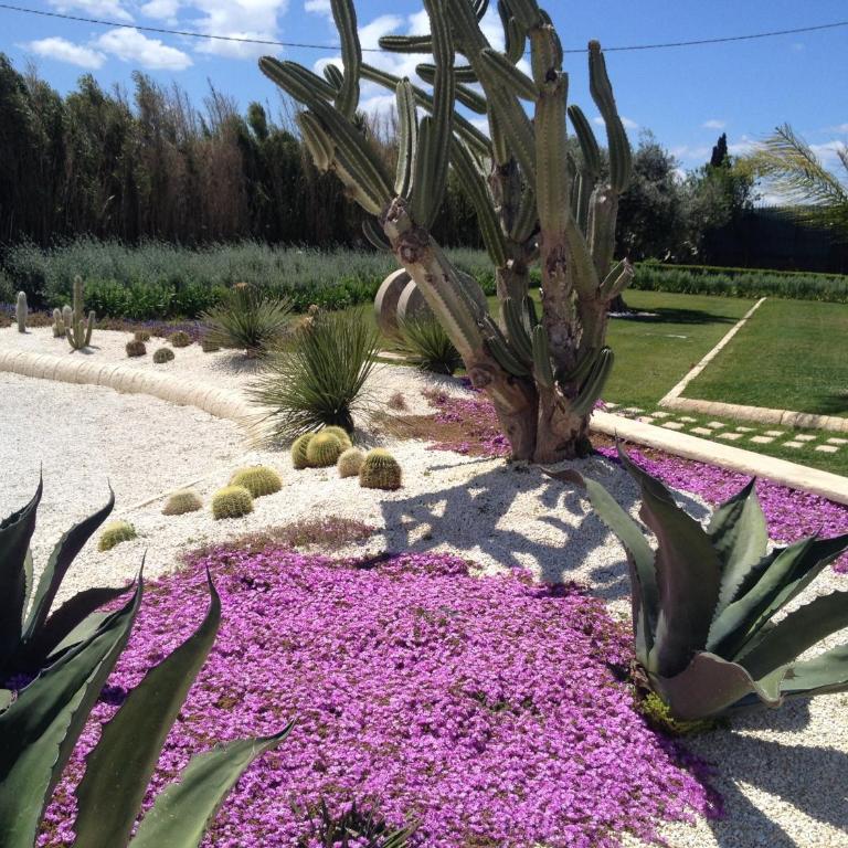 Mythos Holidays & Events - Casa Vacanze - 75