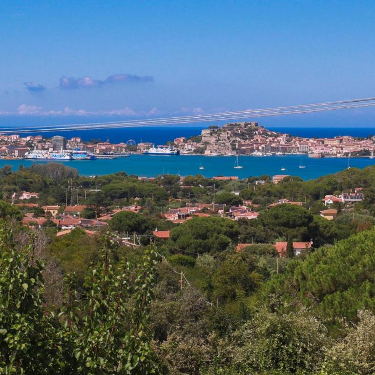 Casa dei Fiori - Goelba - Appartamento con 1 Camera da Letto - 2