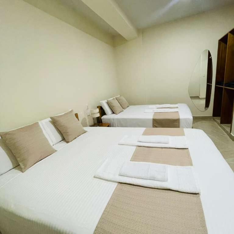 Studio 69 Aparthotel - Apartamento Deluxe de 1 dormitorio - 1