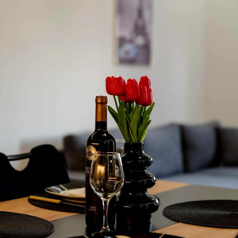 Panorama Elite - Apartman sa 1 Spavaćom Sobom - 1