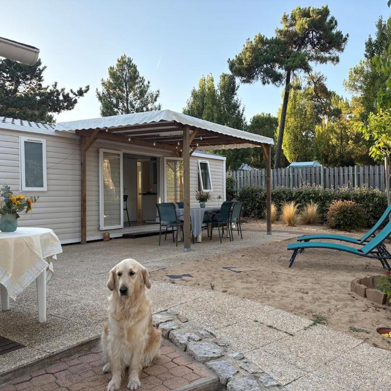 Le Petit Coin de Paradis - Centre-Ville - Plage - Casa Vacanze - 28