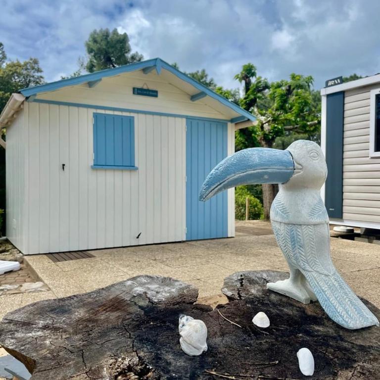 Le Petit Coin de Paradis - Centre-Ville - Plage - Casa Vacanze - 18
