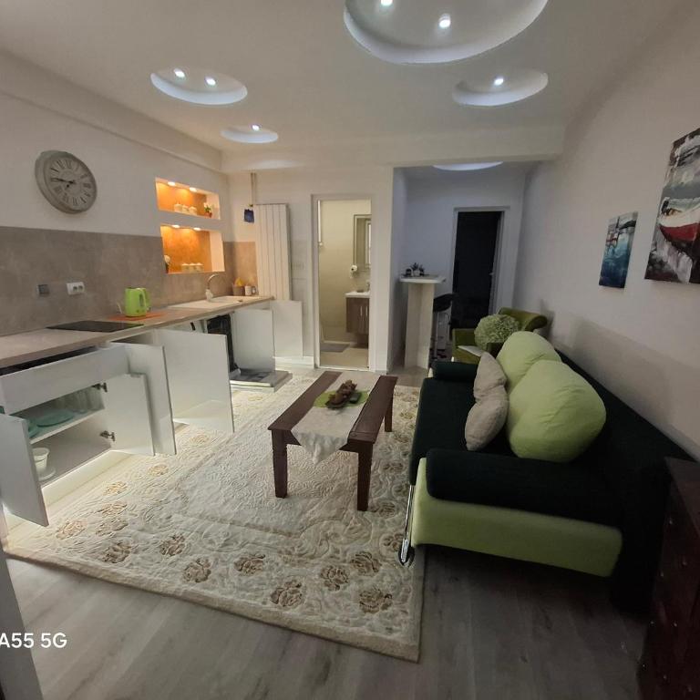 Sarajevo Parking Free - Apartman sa 1 Spavaćom Sobom - 22