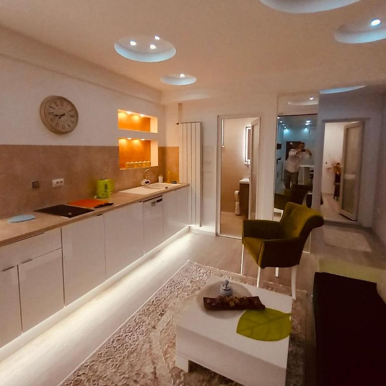 Sarajevo Parking Free - Apartman sa 1 Spavaćom Sobom - 10
