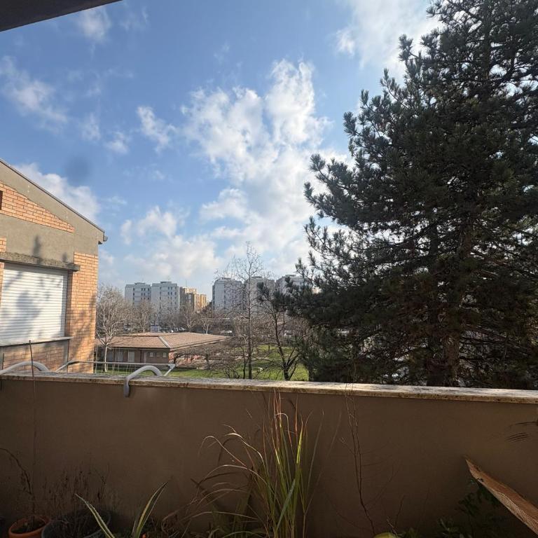 Peacefull Rooms Bologna Collodi 9 - Two-Bedroom Apartment with Terrace - 5