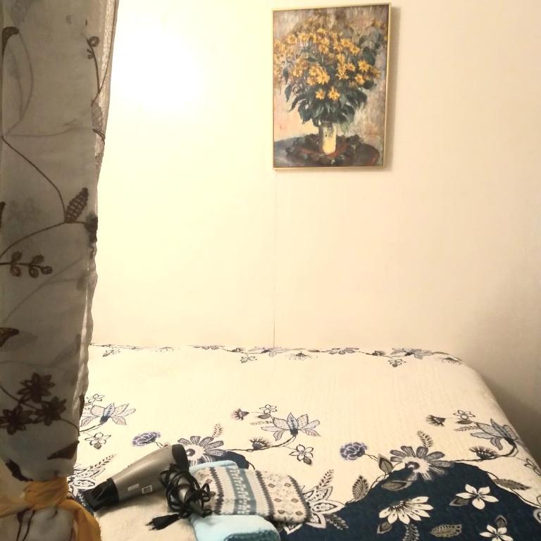 Cabaña Económica Low Cost Cien por Ciento Independiente - One-Bedroom Apartment - 20