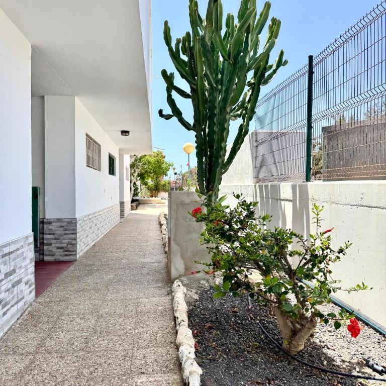Casa Morena - Apartamento de 1 dormitorio - 27