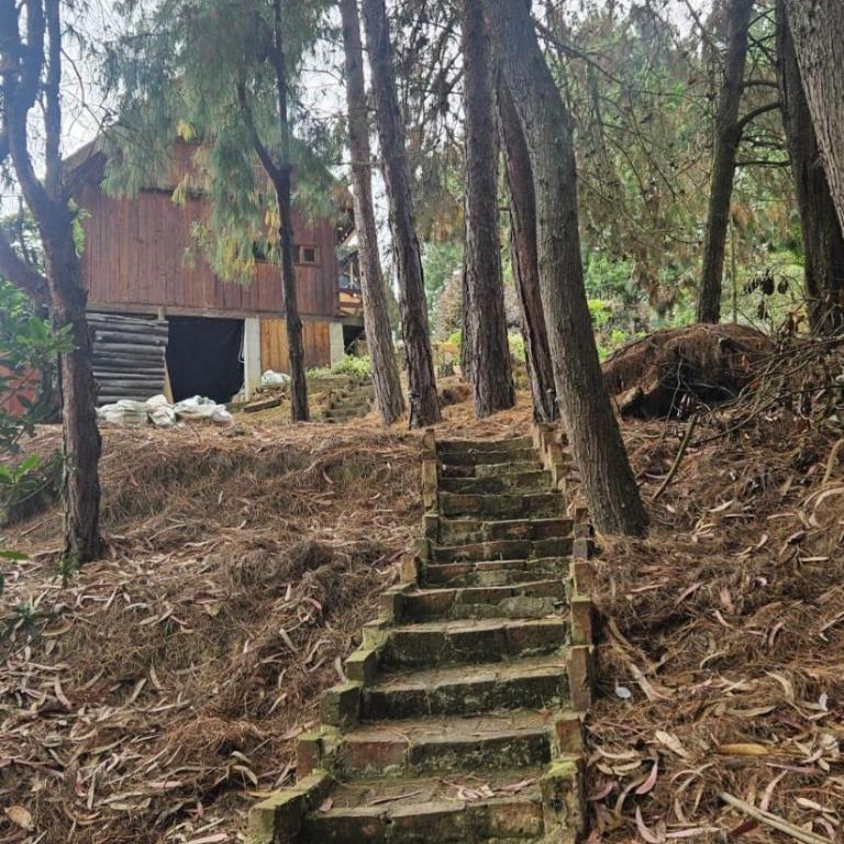 El Refugio del Pino Cabaña en Subachoque - Chalet de 2 dormitorios - 15