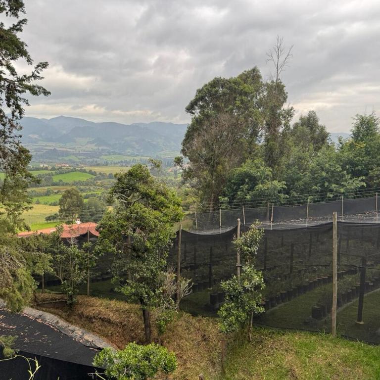 El Refugio del Pino Cabaña en Subachoque - Chalet de 2 dormitorios - 16