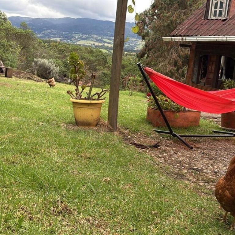 El Refugio del Pino Cabaña en Subachoque - Chalet de 2 dormitorios - 43