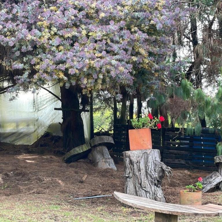 El Refugio del Pino Cabaña en Subachoque - Chalet de 2 dormitorios - 47