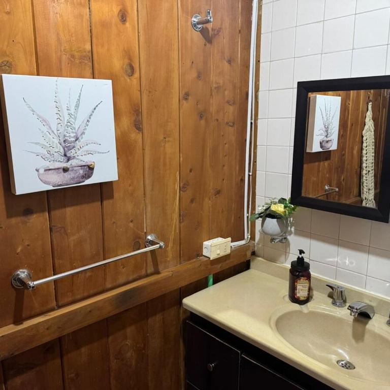 El Refugio del Pino Cabaña en Subachoque - Chalet de 2 dormitorios - 53