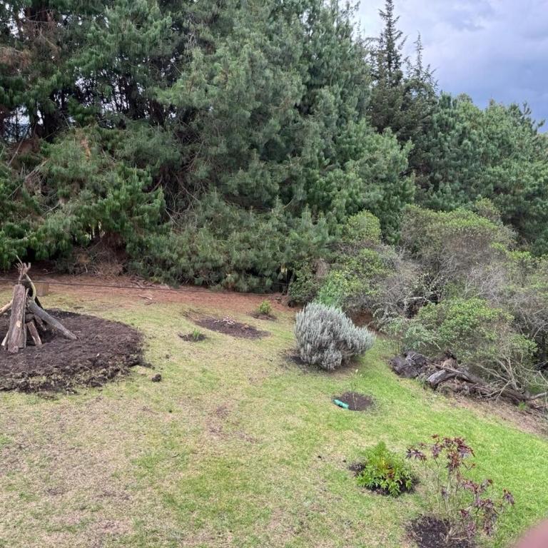 El Refugio del Pino Cabaña en Subachoque - Chalet de 2 dormitorios - 67