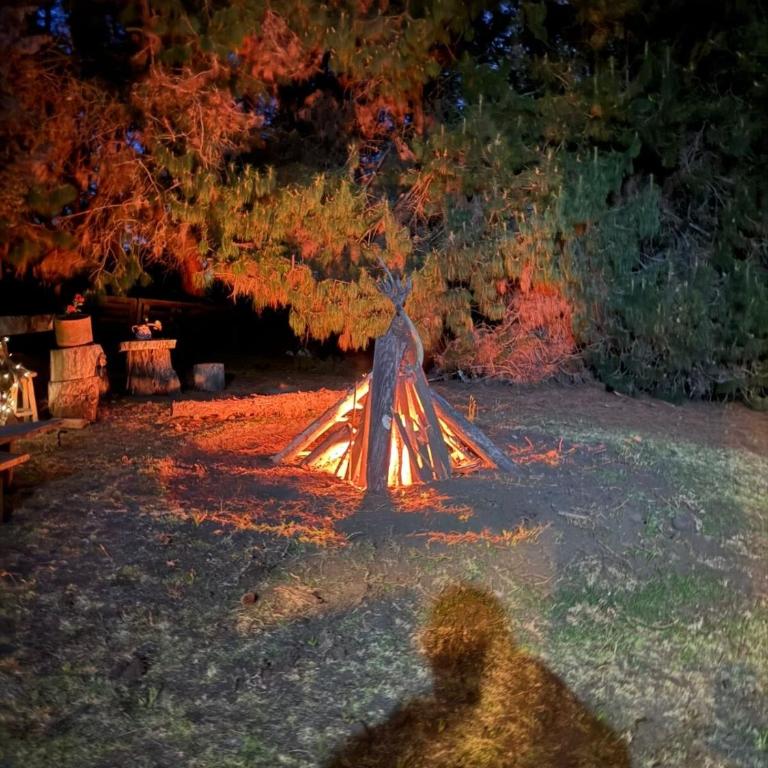El Refugio del Pino Cabaña en Subachoque - Chalet de 2 dormitorios - 75
