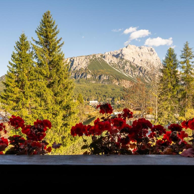 Villa Diana - Appartamento - 7