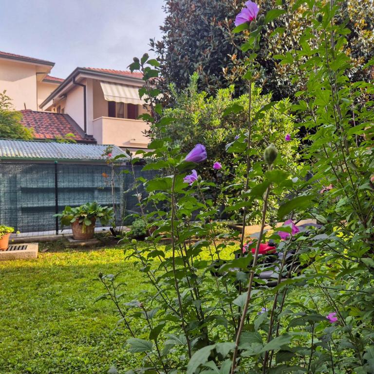 Casa di Amelie By Case al Lago - Appartamento - 19