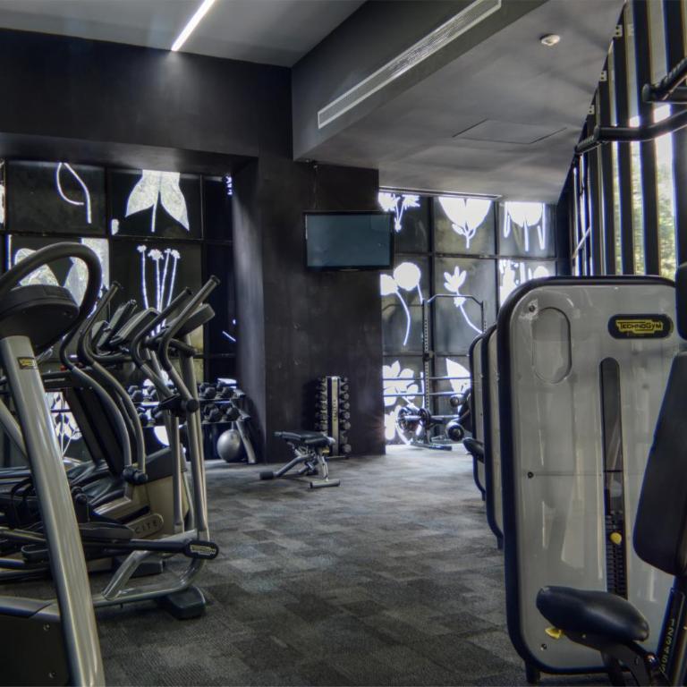 Reforma 284 King Size SUITE Swimming Pool, Parking & Kitchen - Apartamento Premium de 1 dormitorio - 3