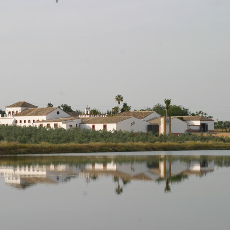Casa rural Cortijo el Chamorro - Casa de 6 dormitorios - 20
