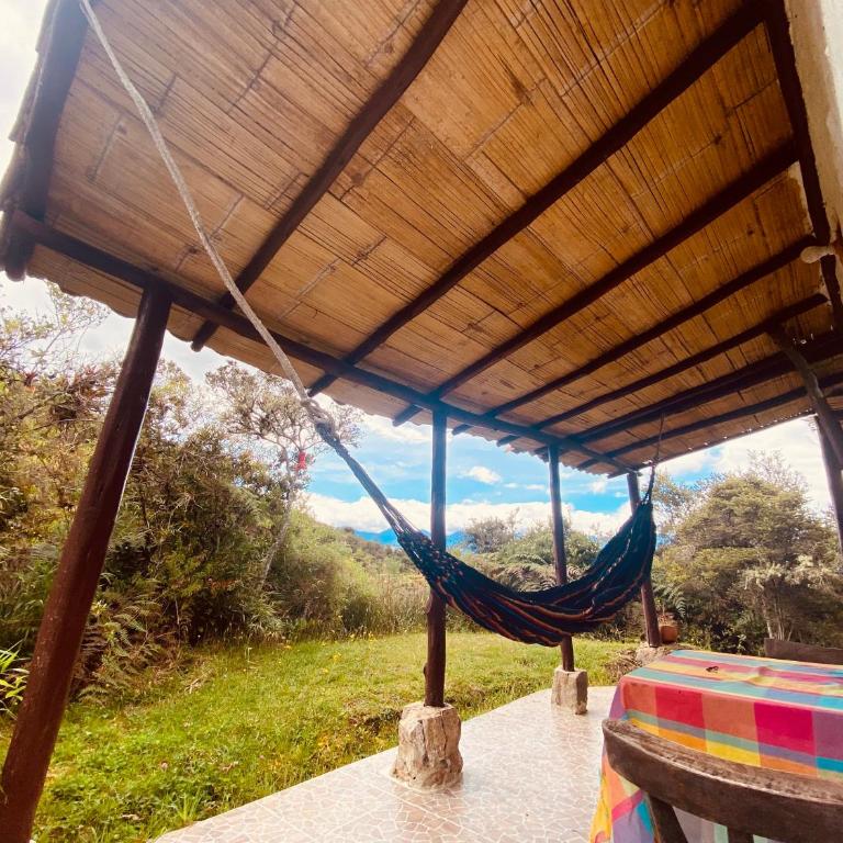 Jardin Colibri RNT 33633 - Bungalow - 15