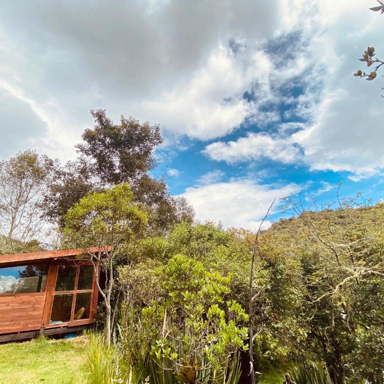 Jardin Colibri RNT 33633 - Bungalow - 22