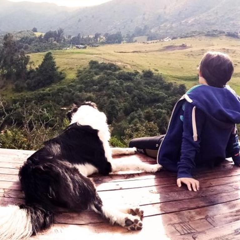 Jardin Colibri RNT 33633 - Bungalow - 26