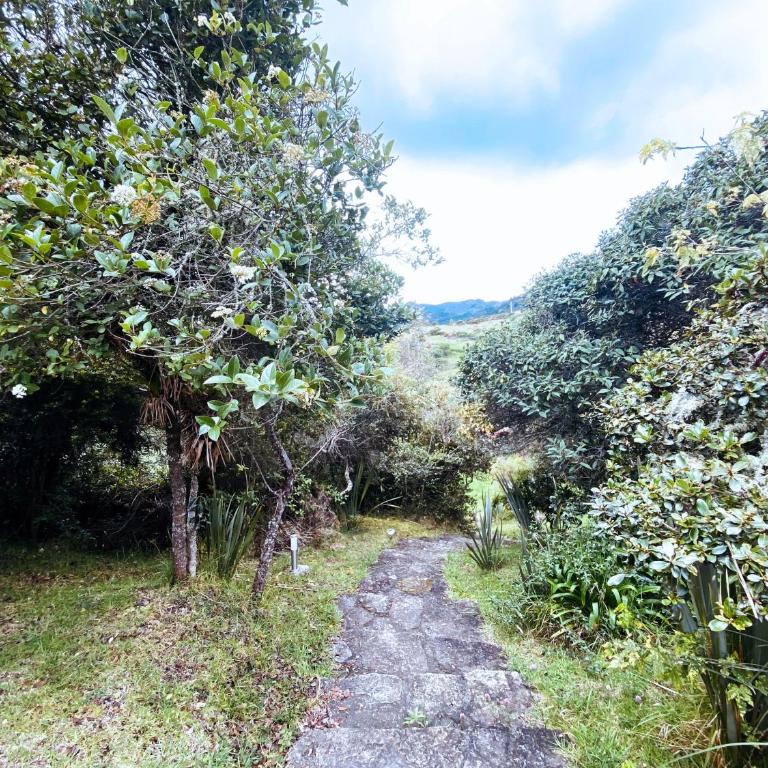 Jardin Colibri RNT 33633 - Bungalow - 29