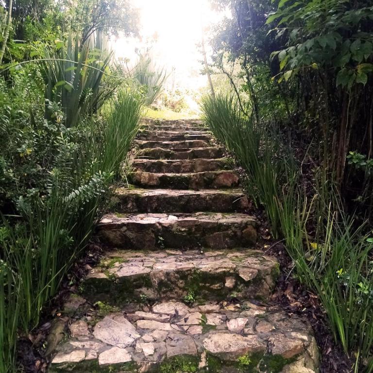 Jardin Colibri RNT 33633 - Bungalow - 30