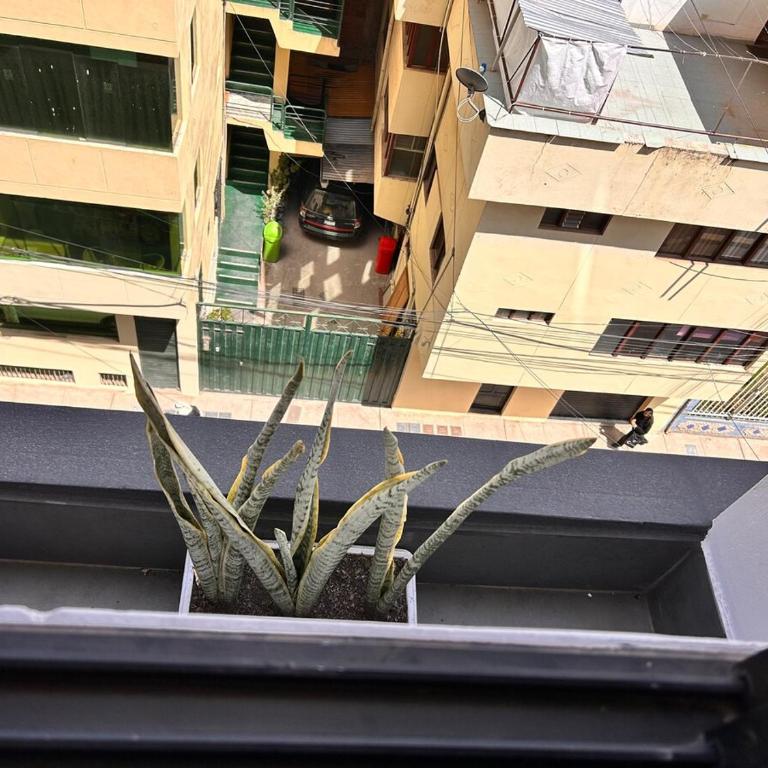 Mini apartment in a strategic area of Cusco - Apartamento de 1 dormitorio - 11