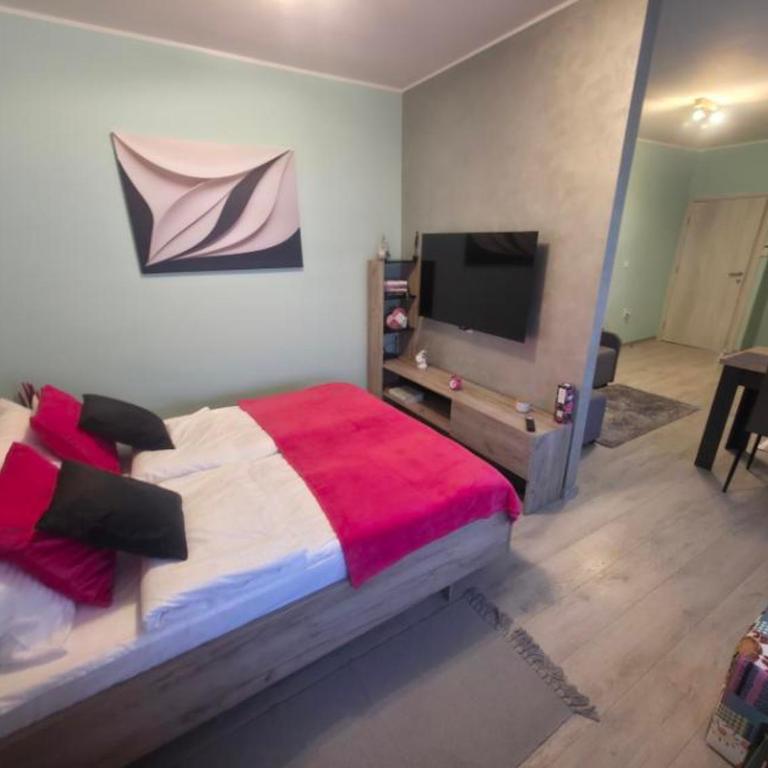 Apartmani Novi Grad - Deluxe Double Studio - 16