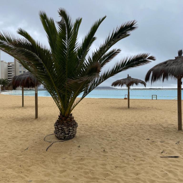 Laguna del Mar La Serena - Apartamento de 3 dormitorios - 3