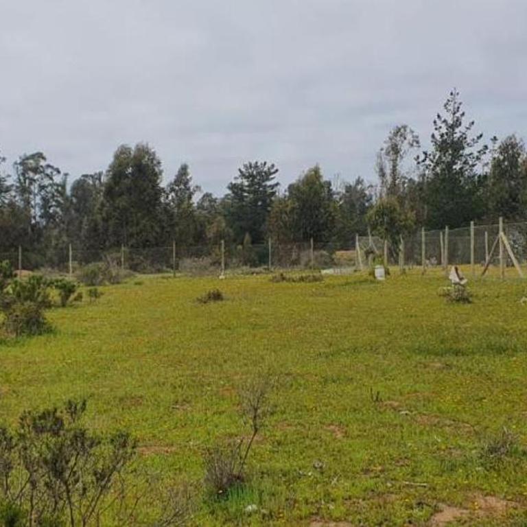 Casa Algarrobo Parcela - Casa de 4 dormitorios - 23