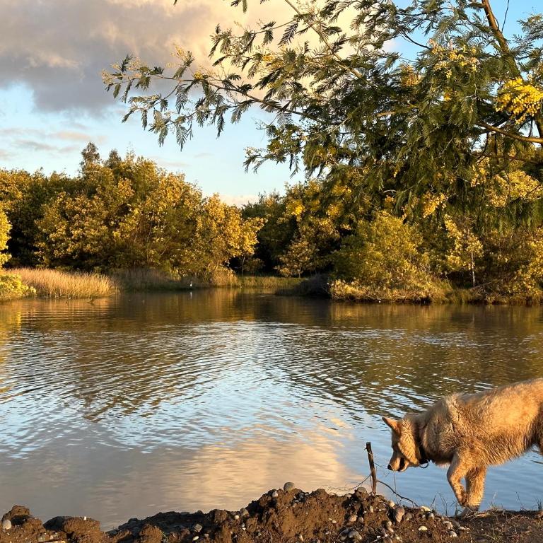 Reserva los Bollenes - Casa de 2 dormitorios - 4