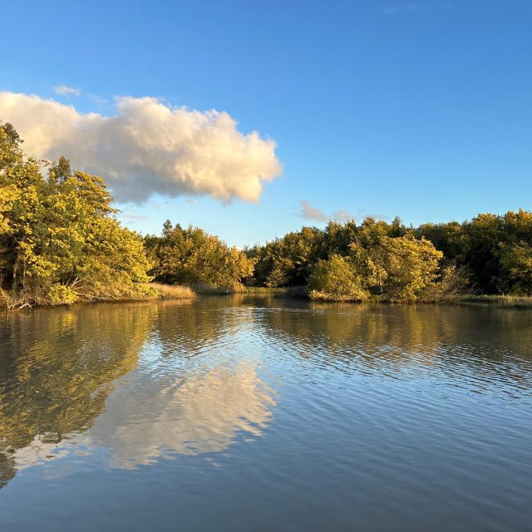 Reserva los Bollenes - Casa de 2 dormitorios - 21