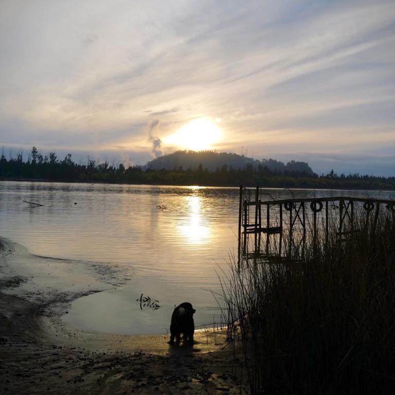 Reserva los Bollenes - Casa de 2 dormitorios - 3