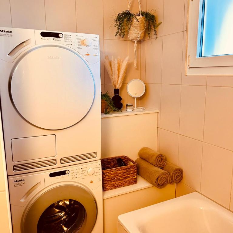 Loft Cosy sur le Lac - Apartment mit 1 Schlafzimmer - 19